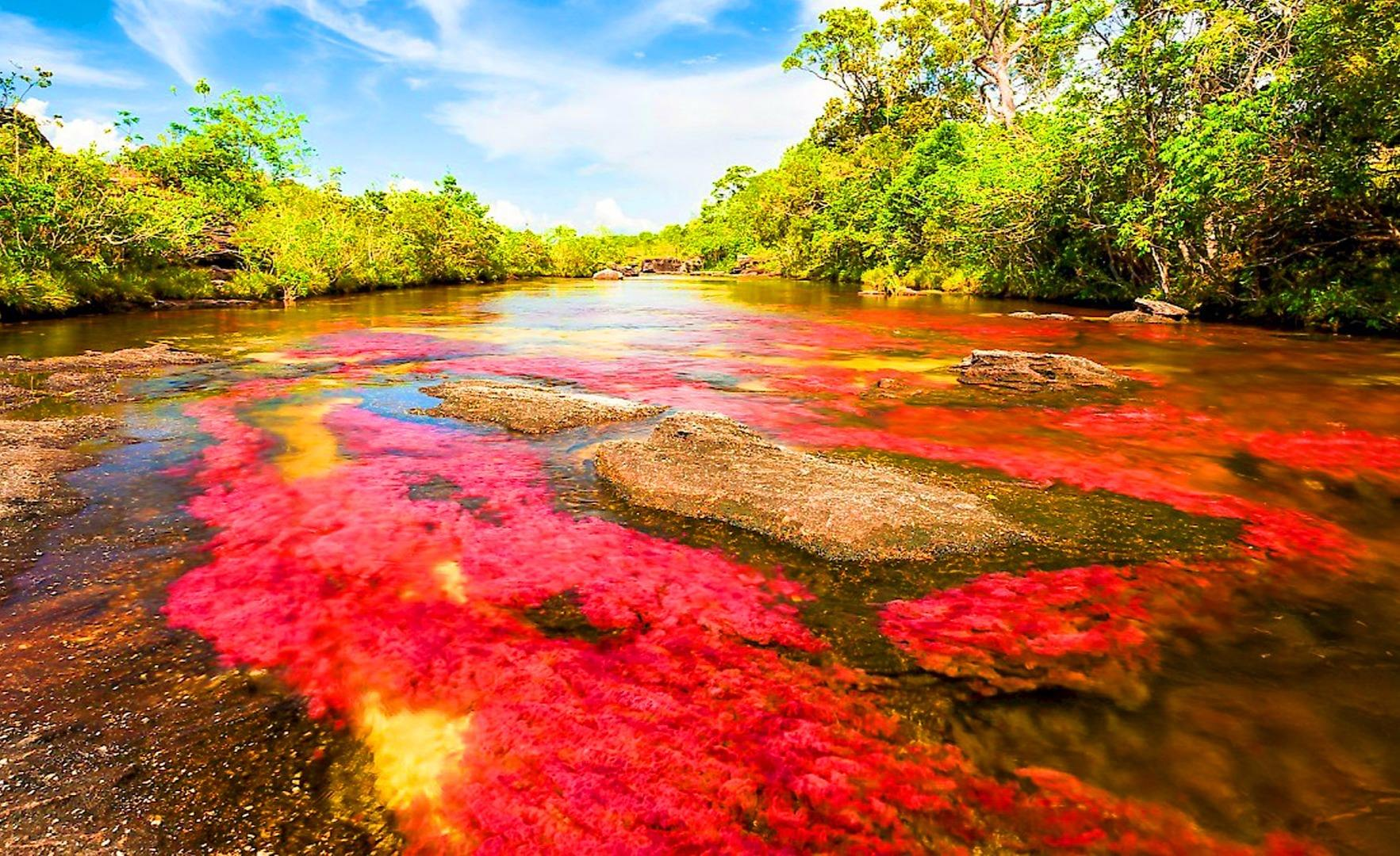 世界独一无二的河流,每年一到这几个月,河水就会变得五彩斑斓