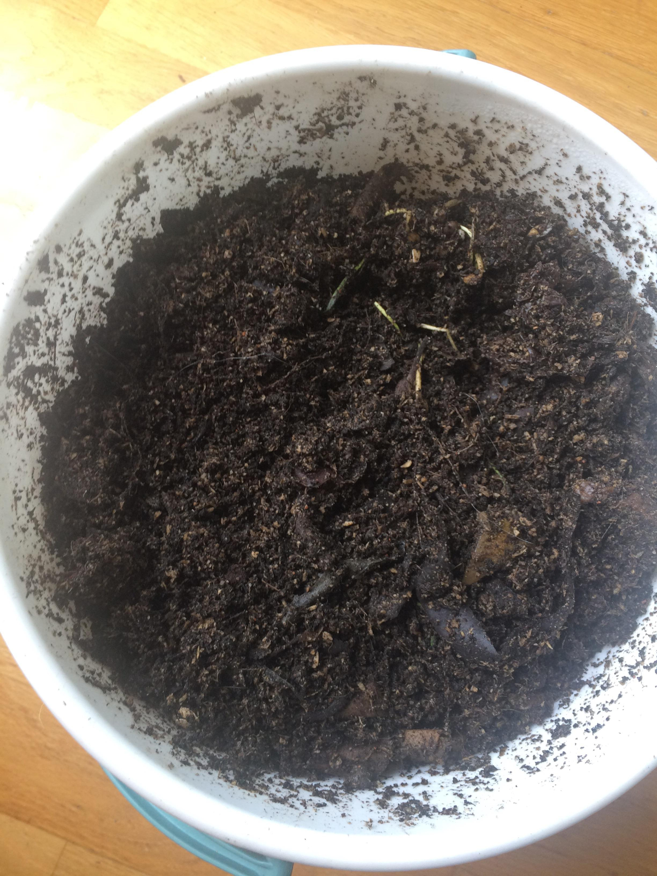 在家里自制堆肥桶菜叶果皮和落叶都能变成有机肥料