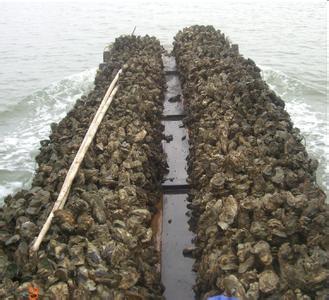 产地几十万斤卖不动,市场却卖3元一个,网友:反正吃不起