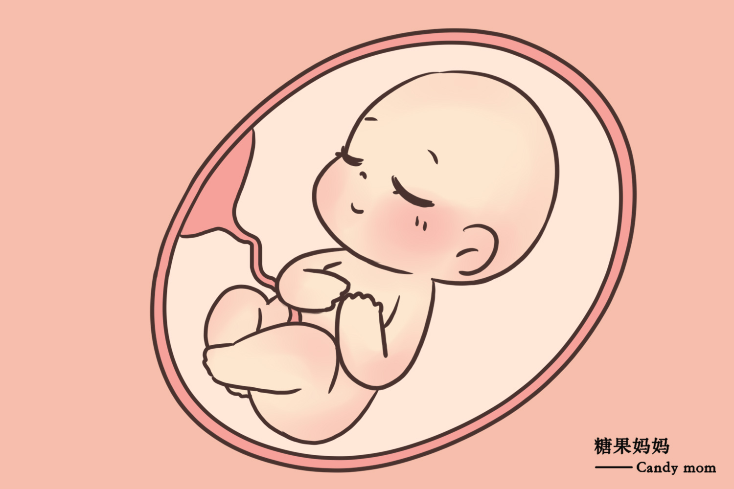 妈妈在活动的时候,肚子里的宝宝会随着羊水在晃动,这就是胎儿最初的