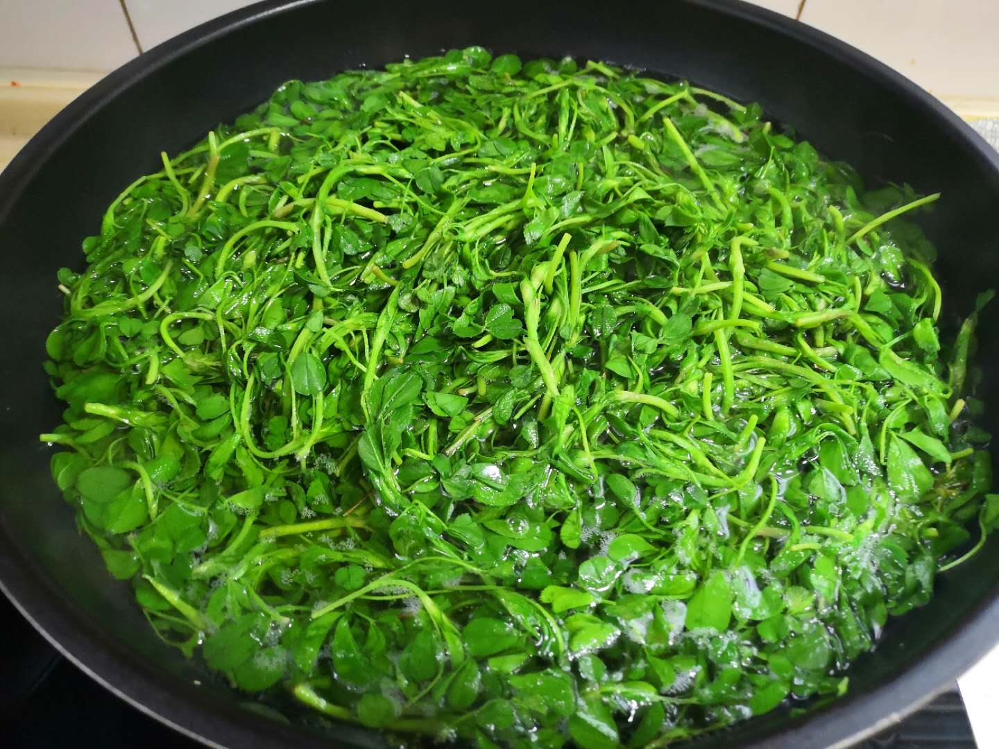 苜蓿|饺子|包饺子_新浪新闻