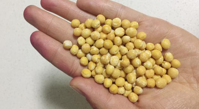 老北京传统做法多宝多福的豌豆黄元宝样式寓意进财