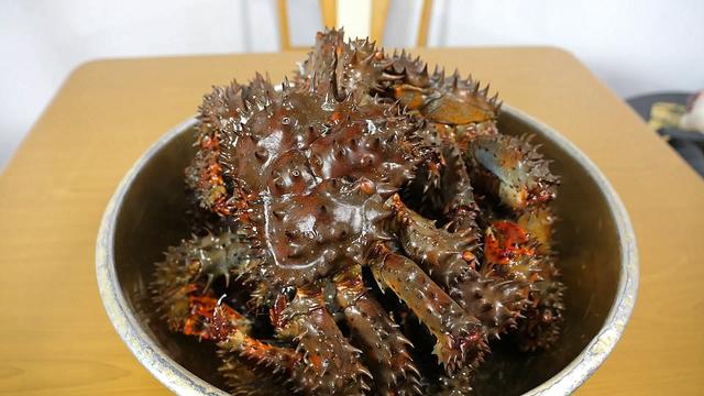 小伙花2千元买了盆刺螃蟹一只比一只肥掰开壳子后想哭