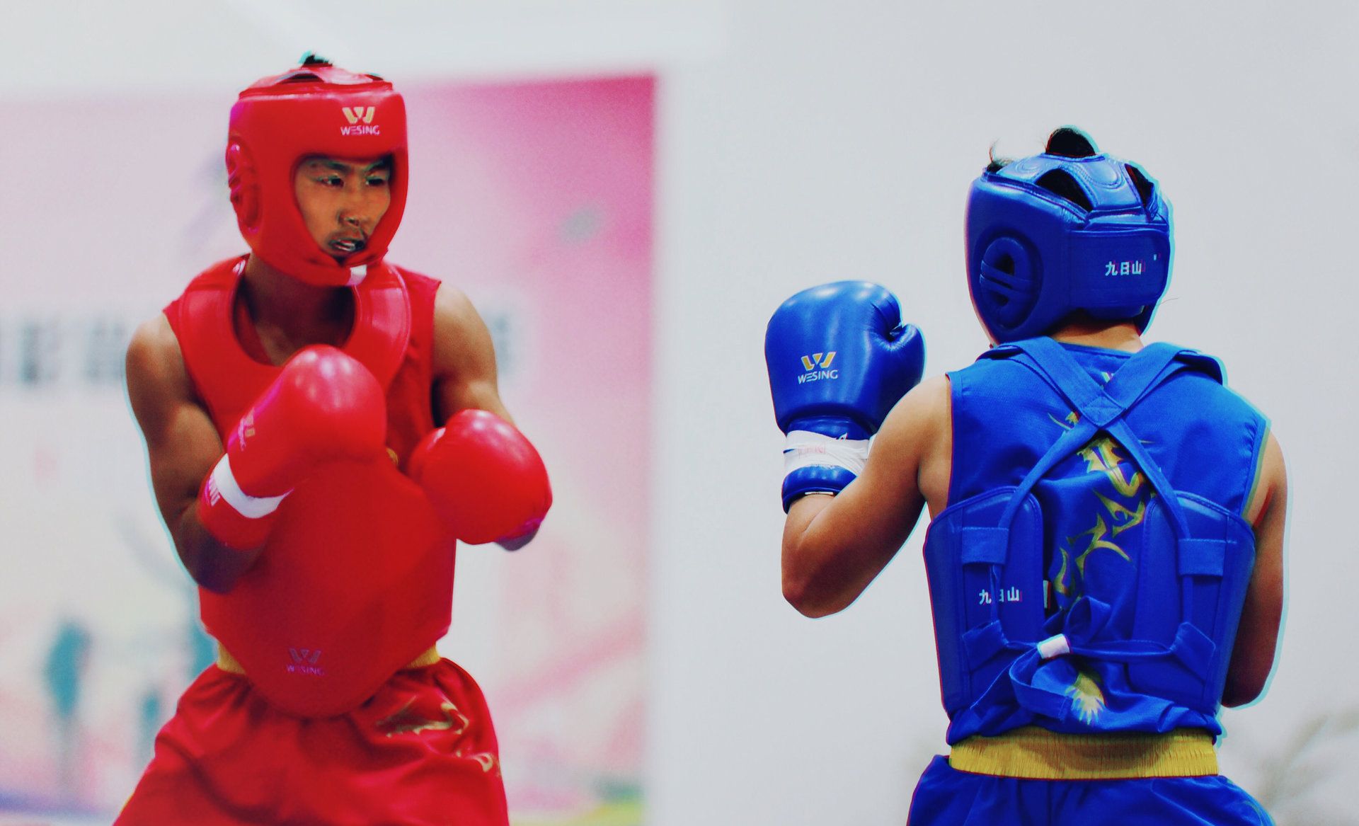 为什么散打选手转战自由搏击胜少负多