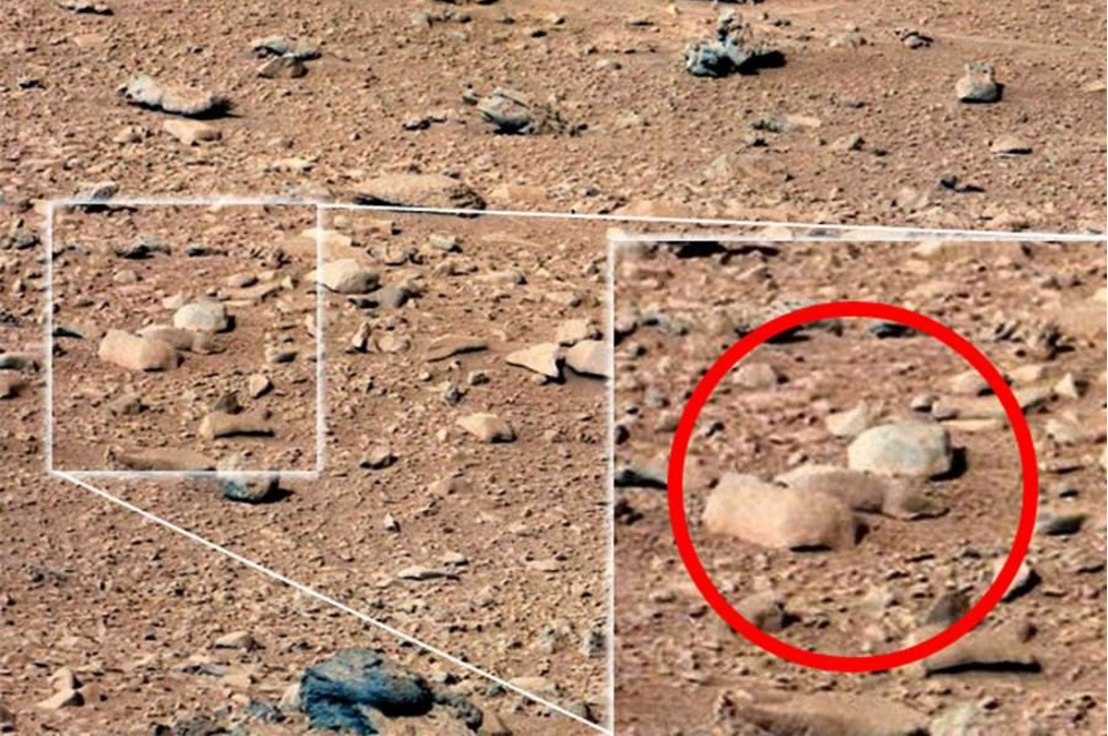 微生物|人类|火星_新浪新闻