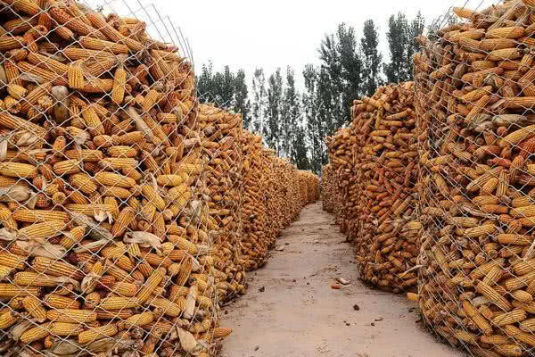 如果外国停止粮食出口我们的储备粮够用吗用不用提前囤点粮
