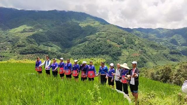 云南镇沅者东镇:弘扬传承民族文化 共促民族团结发展