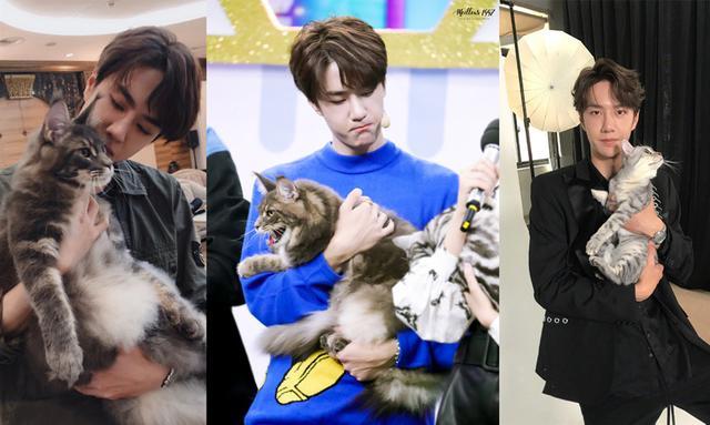 肖战公主抱vs王一博公主抱,肖战深蹲无压力,王一博戳中笑点