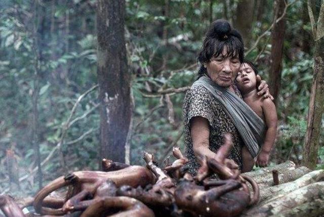 巴西最后的原始部落,人类母乳喂养动物,40岁的女人必须离开部落