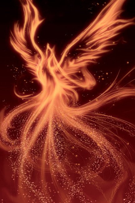 50年前,这座外国都市曾发生大火,目击者称:纵火犯竟是"火鸟"