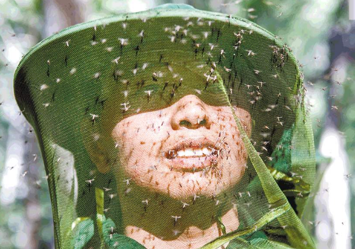 这条边境线就是——新疆北湾边防,可以说在这个边境每年一到夏天的