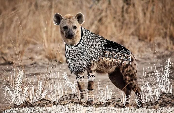 印度艺术家为动物设计服装:犀牛秒变小公主,酋长狮子最帅气