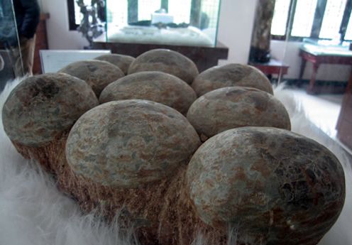 农民山上挖出一窝"蛋",专家鉴定后,竟说这是龙蛋!