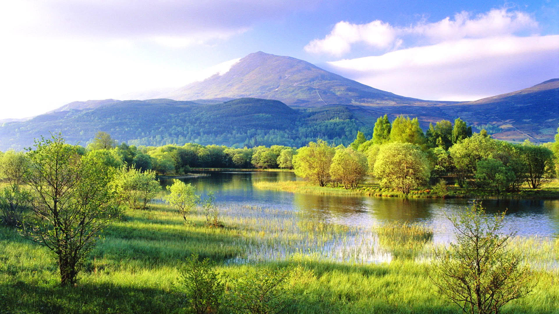 从3月底开始,前途事业好,吉祥顺利,大钱飞来的4大生肖