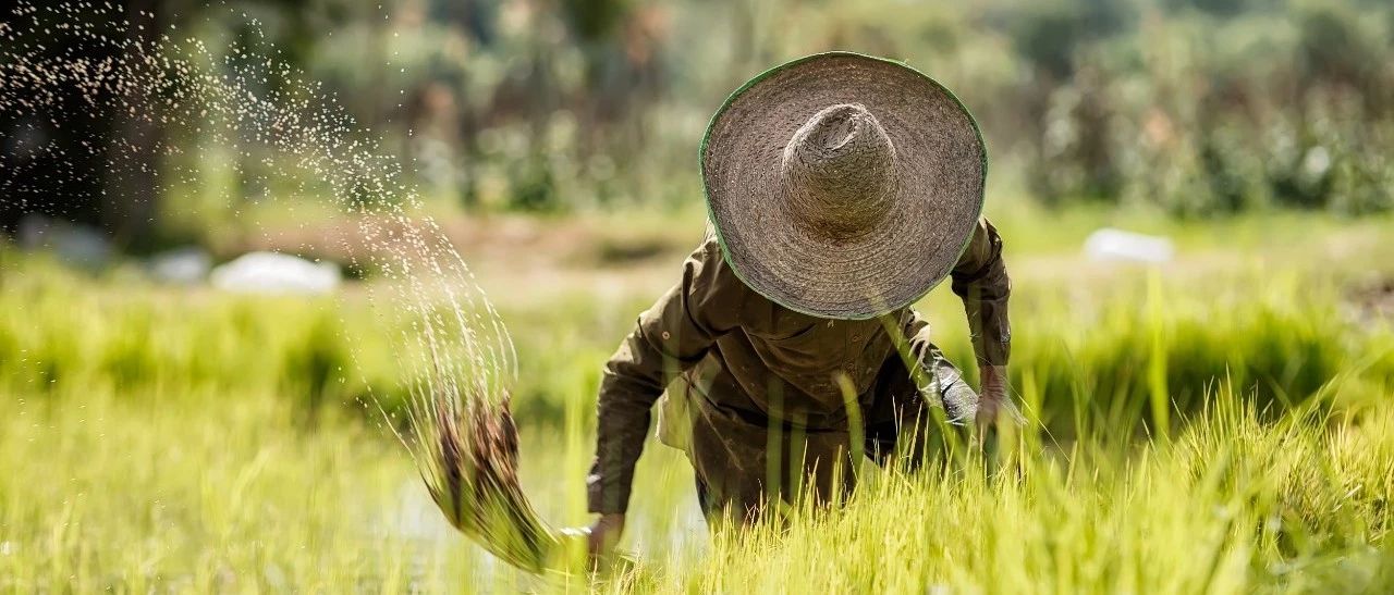 安徽蚌埠失地农民养老保险政策 西安四川养老补贴标准是怎样