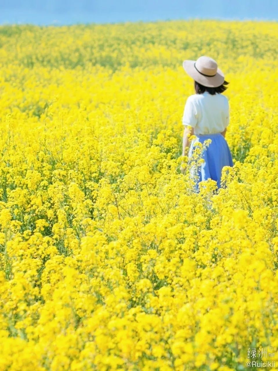 这样拍你就是油菜花田里最美的妞