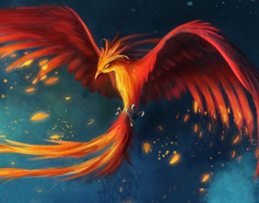 天生凤凰命的4大生肖女一飞冲天的潜力让你少奋斗十年