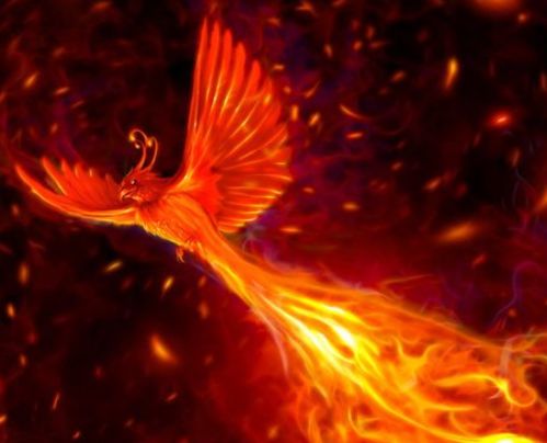 天生凤凰命的4大生肖女一飞冲天的潜力让你少奋斗十年