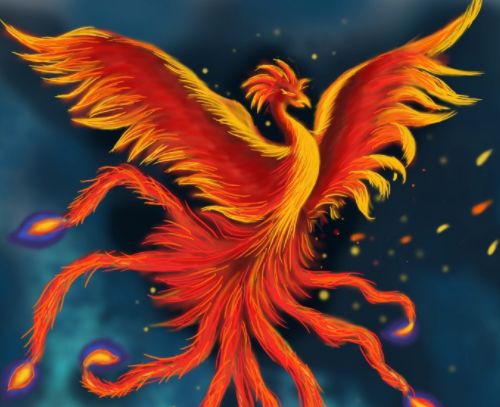 天生凤凰命的4大生肖女一飞冲天的潜力让你少奋斗十年