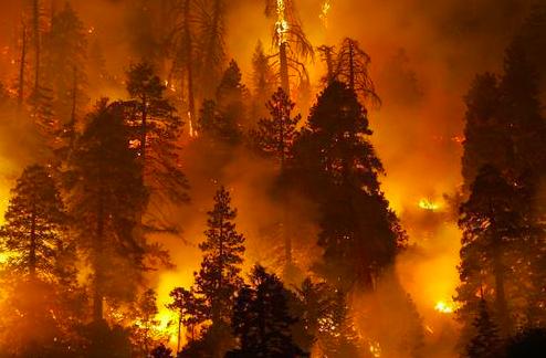 西昌森林大火蔓延危及市区,为什么林火总是难以扑灭?