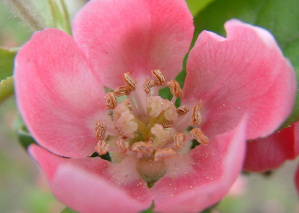 他们在2018年和2019年这两年内,喝口凉水都塞牙,事业家庭都会给他们