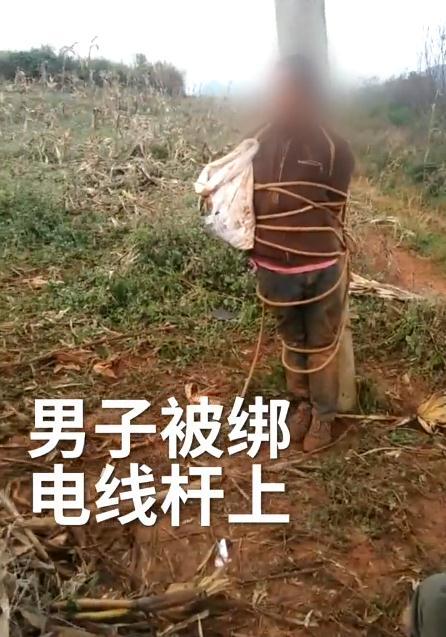 男子被众人绑在树上示众,知道真正原因后,网友纷纷说他活该