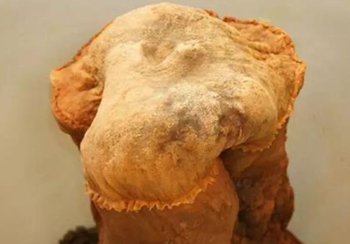 "太岁"到底是何物,听了科学家的答案,真的长知识!