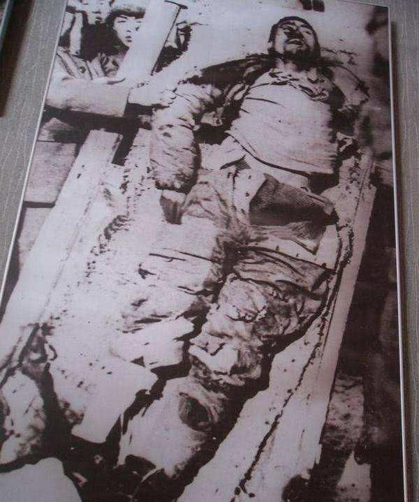 过了22年|杨靖宇|日军|马尚德_新浪新闻