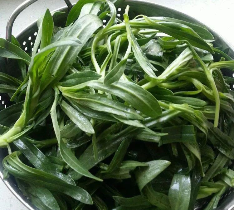 一般生长在农民的庄稼地里,或者道路的两旁,冬天随麦地的麦苗一起生长