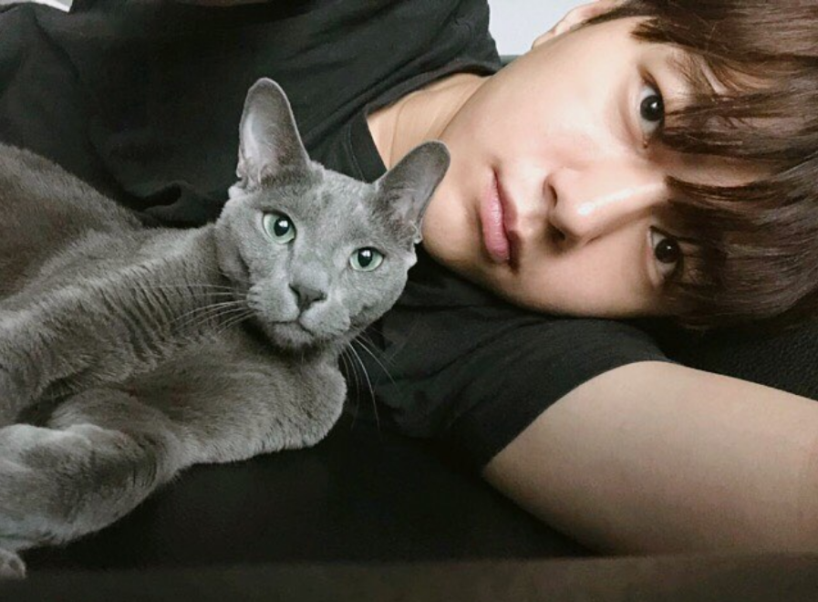 或许这跟金明洙一直都很喜欢猫有关的,他的爱猫"byul"经常出现在他的