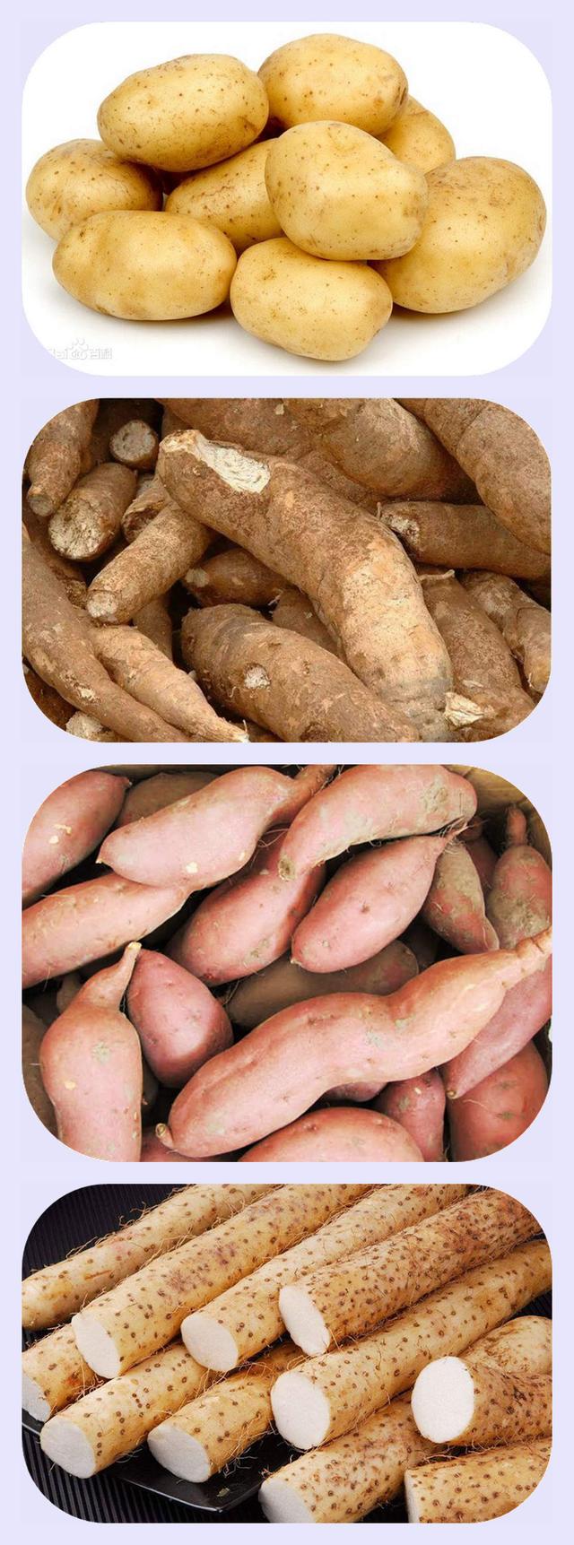 红薯,紫薯,山药,同是薯类,到底有什么不同,怎么吃会更可口