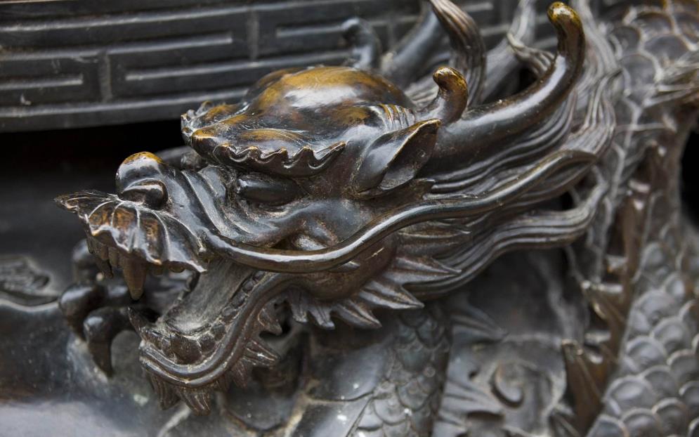 日本瑞龙寺藏有真龙标本清朝时期流落至此被珍藏了140多年