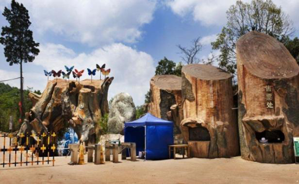 身处云南的"矮人村",居民身高不足1米3,房子全是彩色蘑菇屋