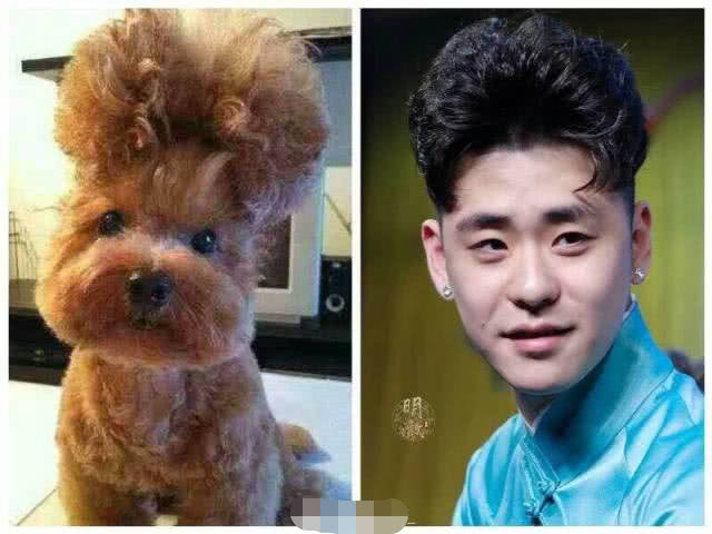 您自拍不丑!我们再也不嘲笑你了!微博九宫格了解一下?