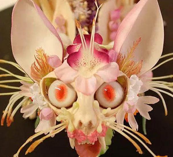 这些是世界上最奇怪的7种花它们一个个长得像动物一样