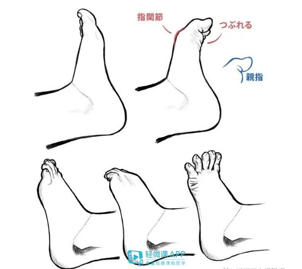 人物的脚怎么画要学会这几点