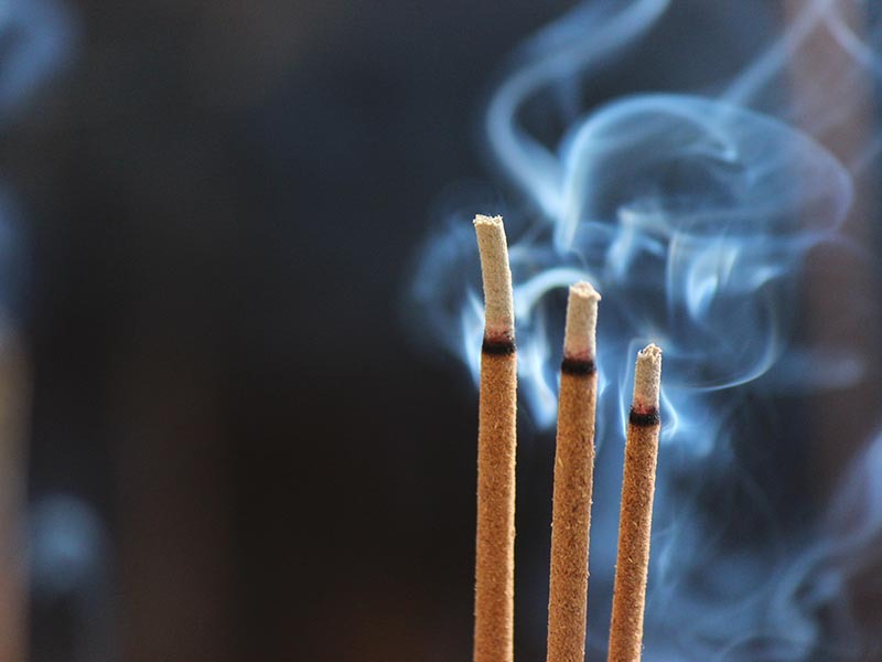 清明扫墓,长辈要求孩子必出席,妈妈签到有妙招