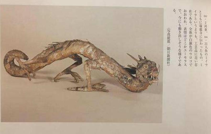 日本瑞龙寺藏有真龙标本清朝时期流落至此被珍藏了140多年