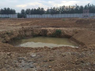 工地上的小水坑为什么时间久了就会长出小鱼苗,专家说:原来是样