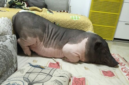 北京八大胡同风尘女子_北京八大胡同风尘女子最新消息,新闻,图片,视频