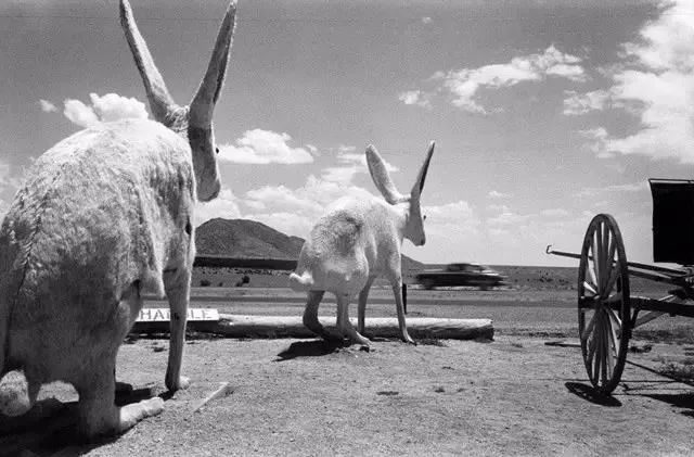 正文  20世纪的纽约,拥挤且繁华,哈斯用常见的街头和平凡的人物作为