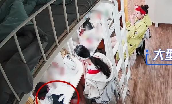 虞书欣突袭女生宿舍鞋子内衣随地乱丢