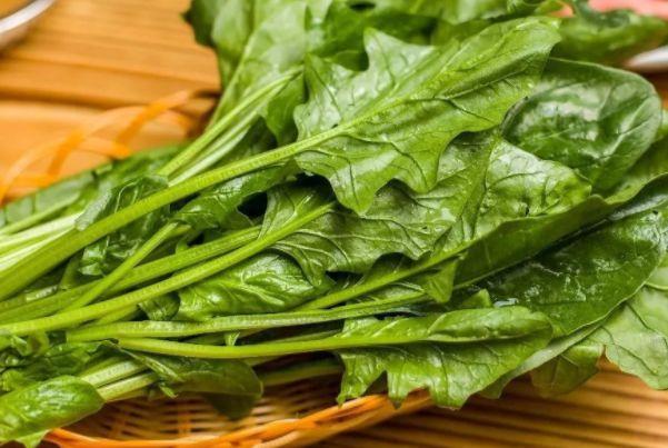 春季吃四种蔬菜,开胃通便提高免疫力,对老年人还有大好处