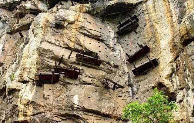 悬棺|悬崖|考古学家_新浪新闻