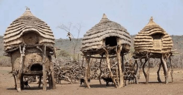 非洲原始部落"酋长"儿子的家,进屋那一刻,贫穷限制了我的想象