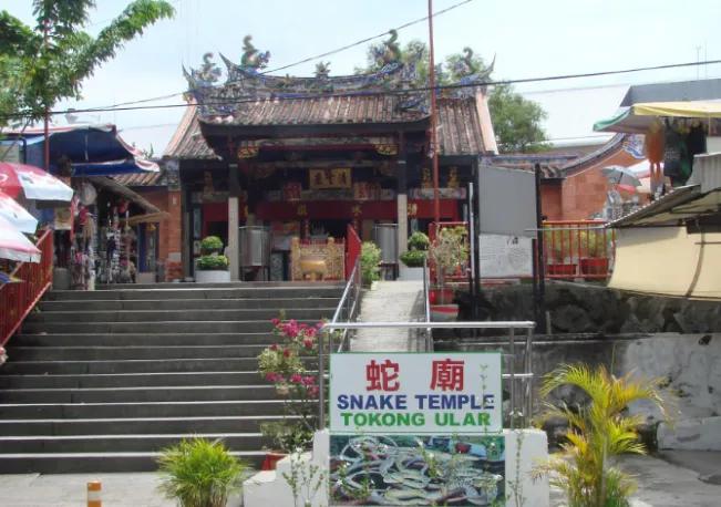 一座供奉蛇的寺庙,香火异常旺盛,成为当地闻名景区!