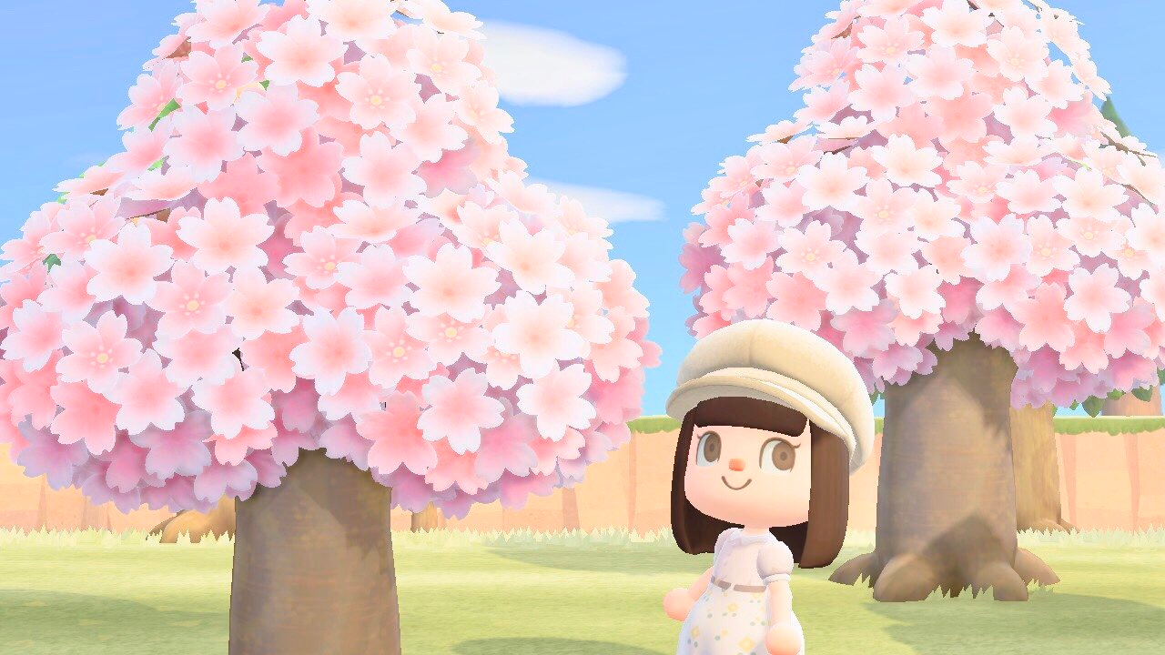 樱花家具的获取方式是?