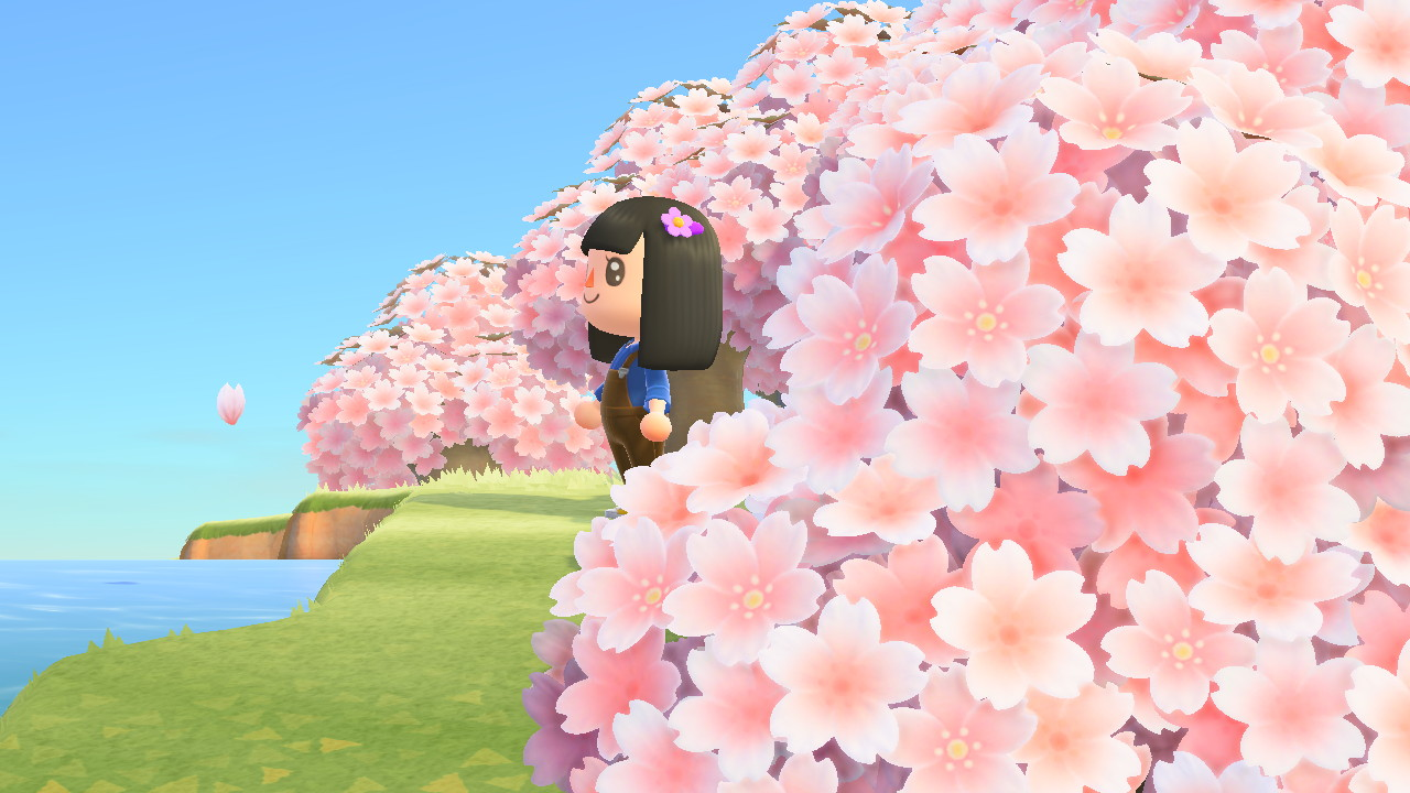 《集合啦!动物森友会》4月樱花季来了!樱花家具的获取方式是?