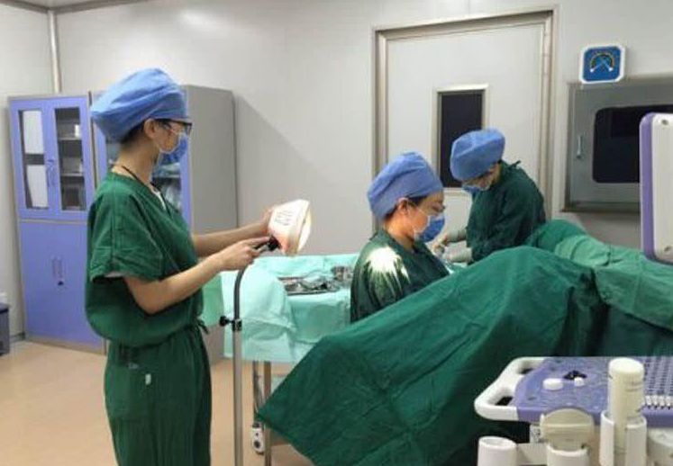 看完可不要脸红|卵子|体温|女性_新浪新闻