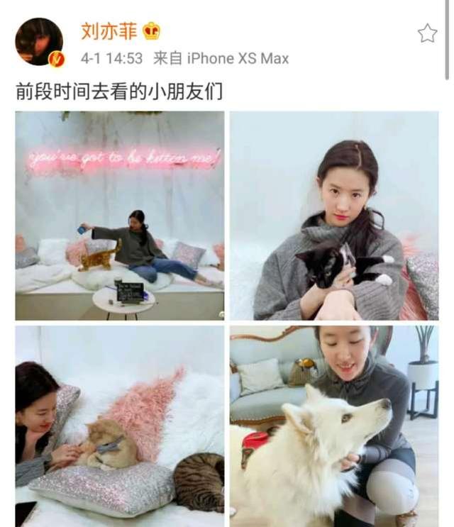 刘亦菲晒与猫狗合影爱心爆棚,纯素颜出镜脸上痘印可见,颜值耐打